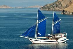 Komodo - luxury liveaboard diving itineraries.